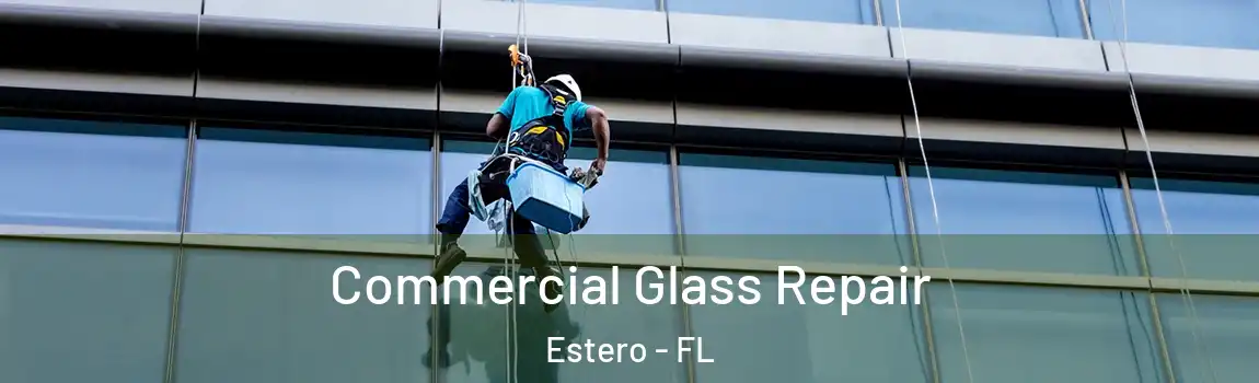 Commercial Glass Repair Estero - FL