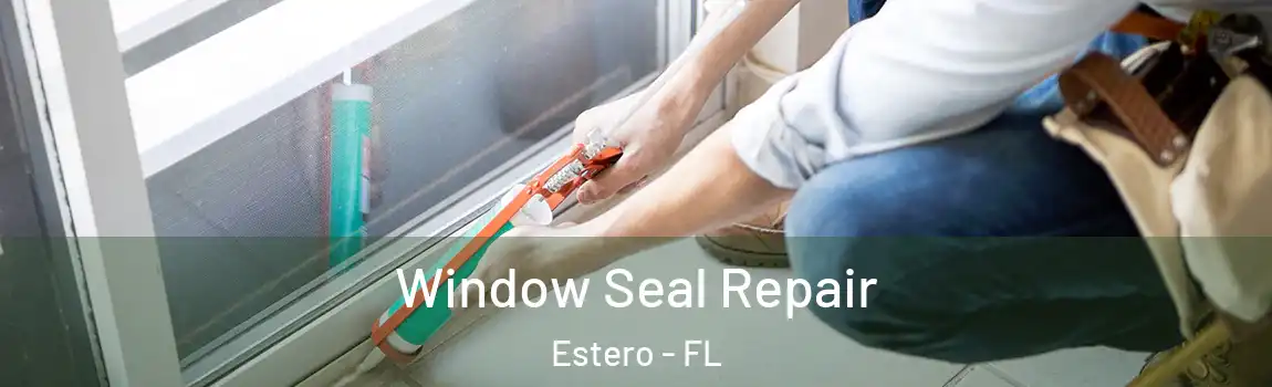 Window Seal Repair Estero - FL
